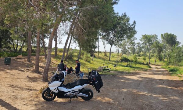 WhatsApp Image 2025-04-03 at 22.05.11 (1)