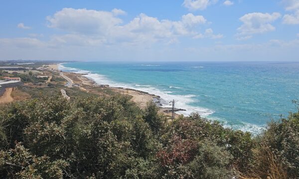 71b70658-0783-4301-91a4-bf78eb0baea4