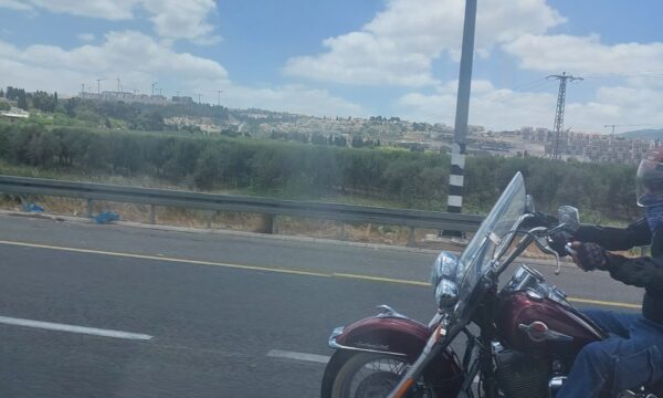 8299e716-0d71-44cd-8022-0b71bcafb98b