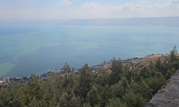 WhatsApp Image 2025-05-29 at 09.52.06