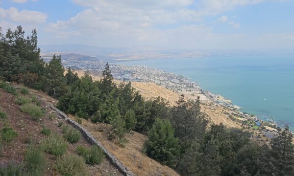 WhatsApp Image 2025-05-29 at 09.52.14