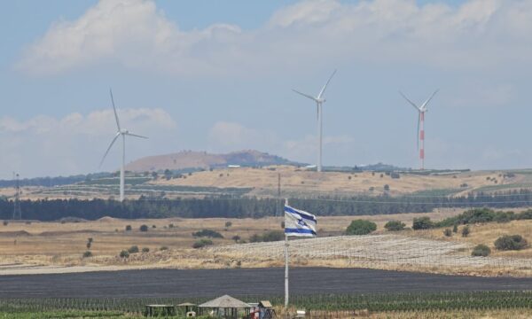 WhatsApp Image 2025-05-29 at 12.20.52