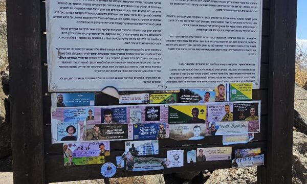 WhatsApp Image 2025-05-29 at 13.55.10