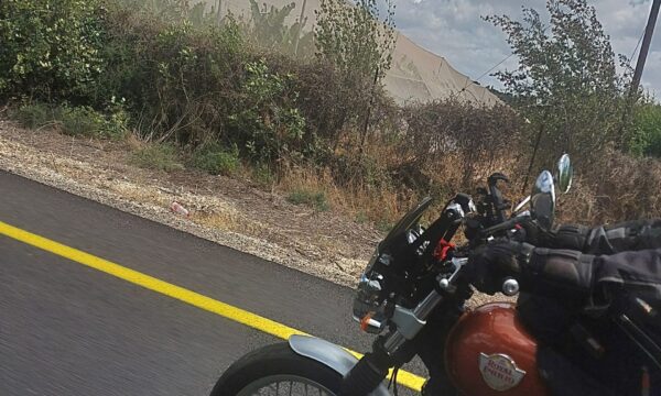 d7d53007-0933-4f28-baac-12c17c358a03